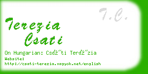 terezia csati business card